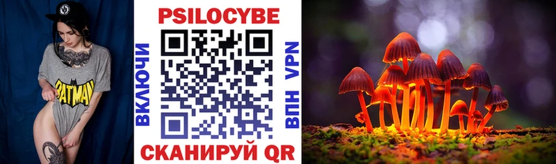 Псилоцибиновые грибы мухоморы  Купить закладки  Камень-на-Оби 